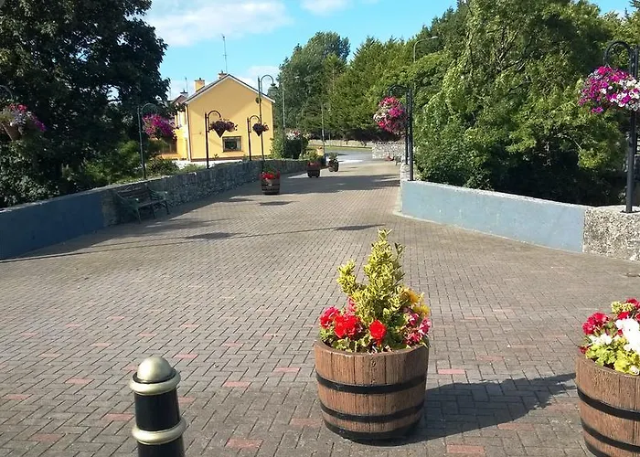 Doonard Manor ベッド・アンド・ブレックファスト Craughwell